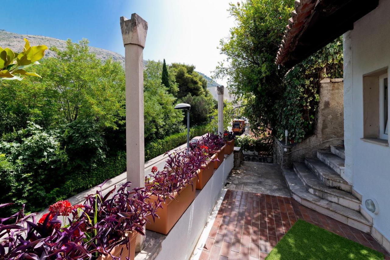 Salicula Art Gallery Apartament